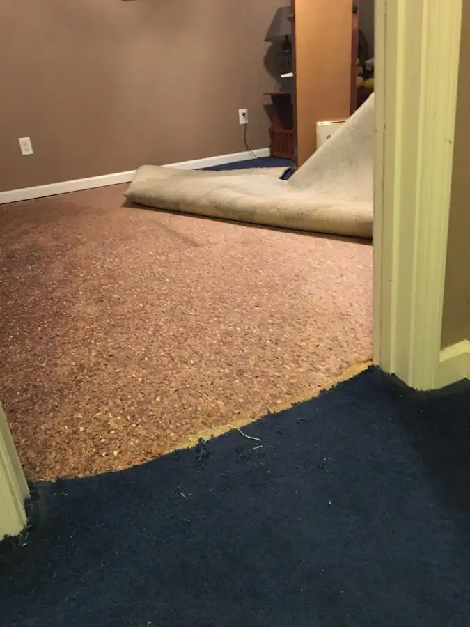 Carpet pad removal revealing water damage during Drying & Dehumidification in Spring Arbor