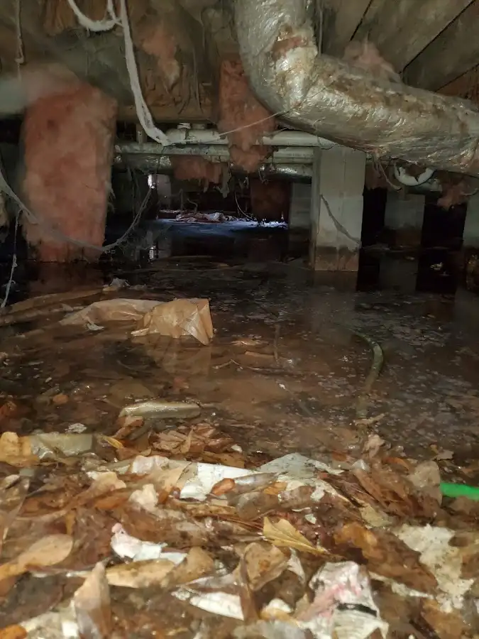Crawl space flood assessment for Leak Detection & Repair in Spring Arbor